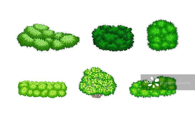 茂密的灌木丛图片素材