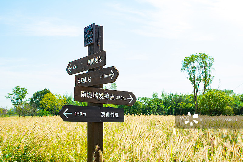 木质路牌 良渚古城遗址公园 秋景 杭州余杭良渚图片素材