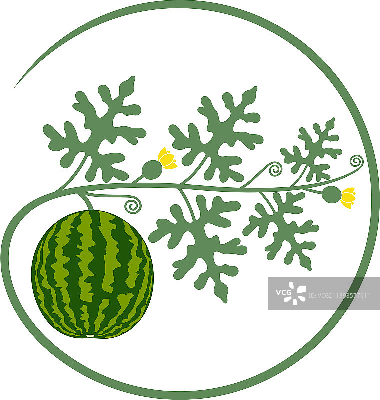 西瓜图片素材