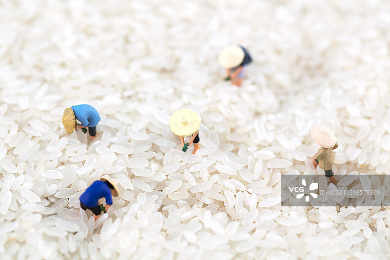 微缩摄影农夫在大米上劳作图片素材