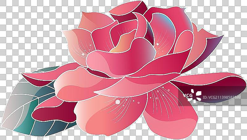 中秋节植物花卉牡丹花芙蓉花免扣素材图片素材