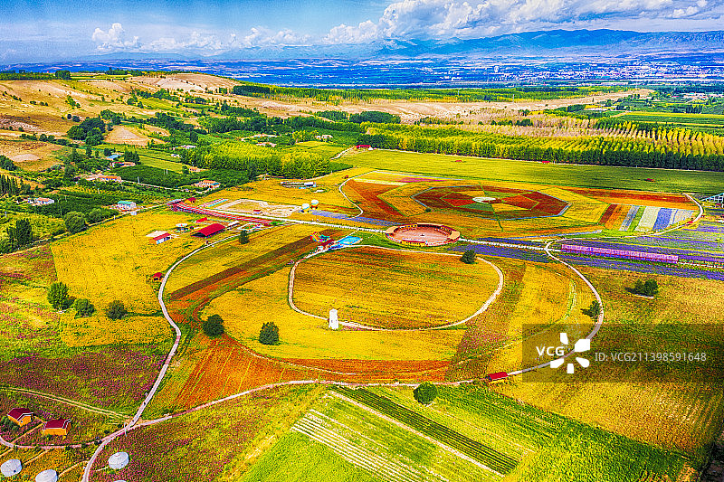 七彩花田图片素材