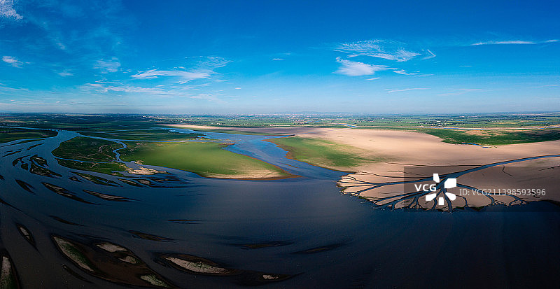 鄱阳湖生态—生命之树图片素材