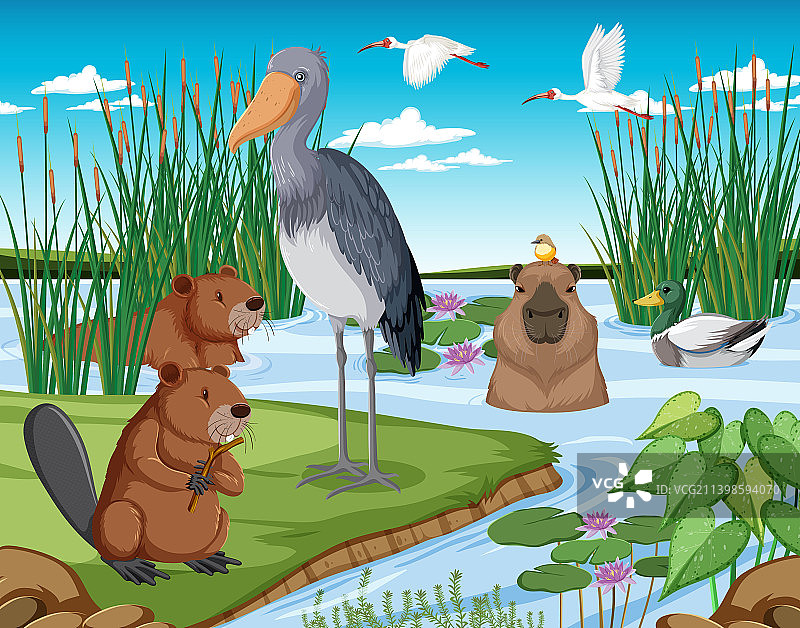 野生动物森林场景图片素材