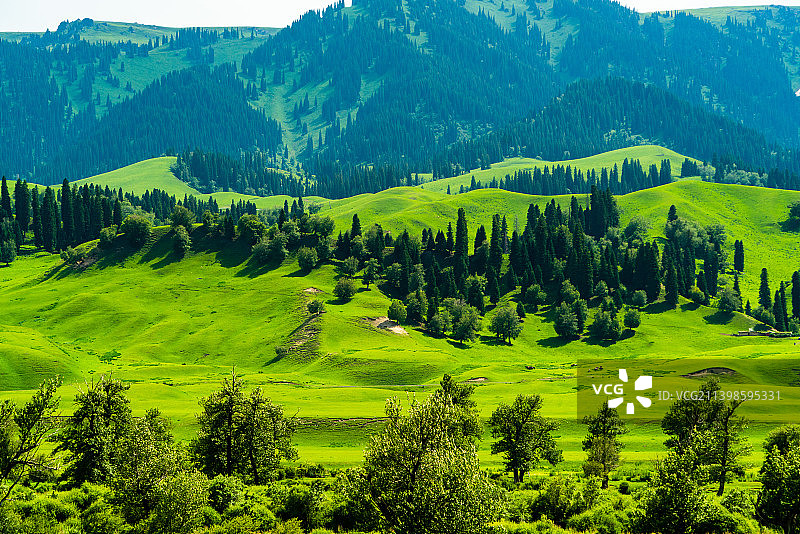 新疆伊犁新源那拉提空中草原图片素材