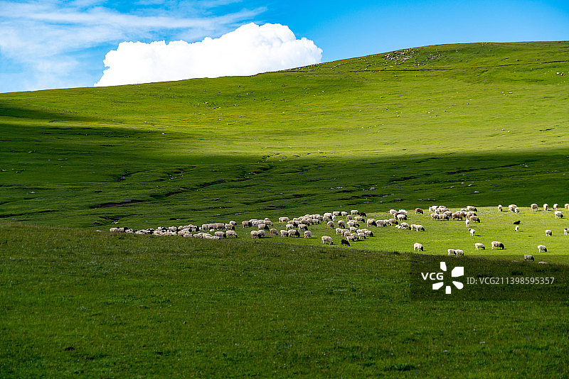 新疆巴音郭楞和静独库公路巴音布鲁克大草原图片素材