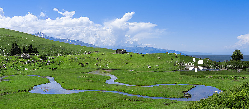哈萨克人图片素材