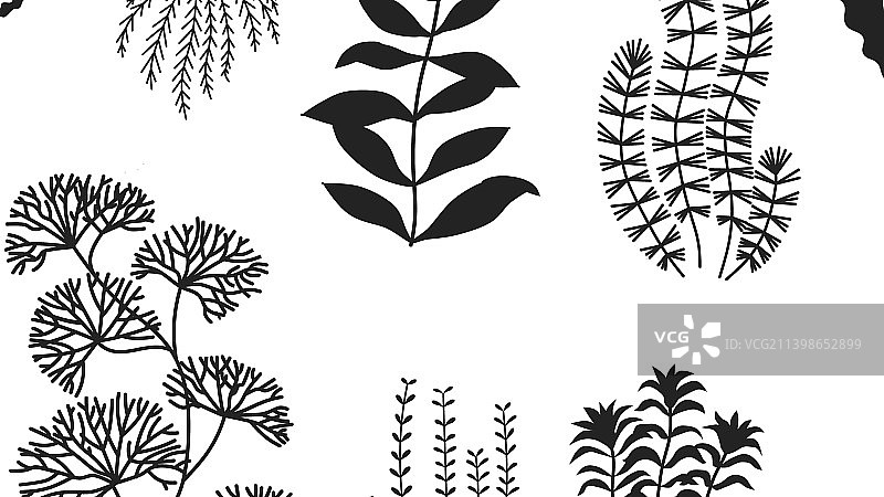 水族箱植物剪影合集图片素材