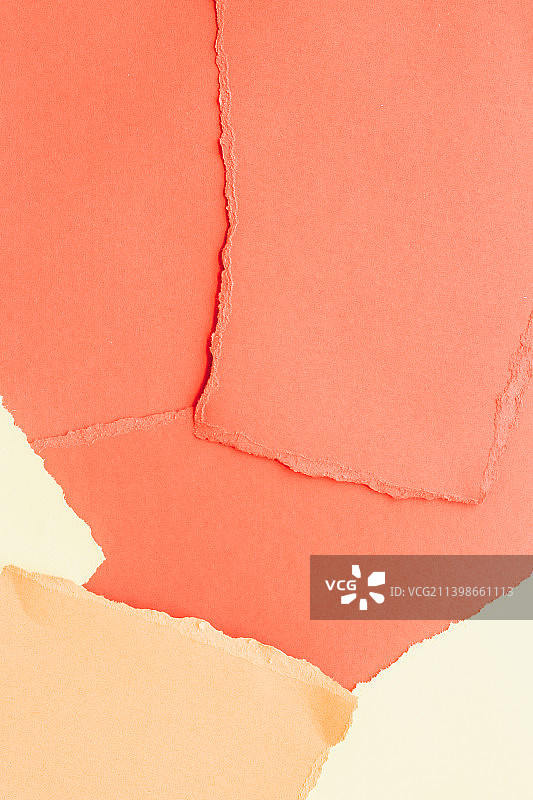 白色背景上的撕碎纸张特写图片素材