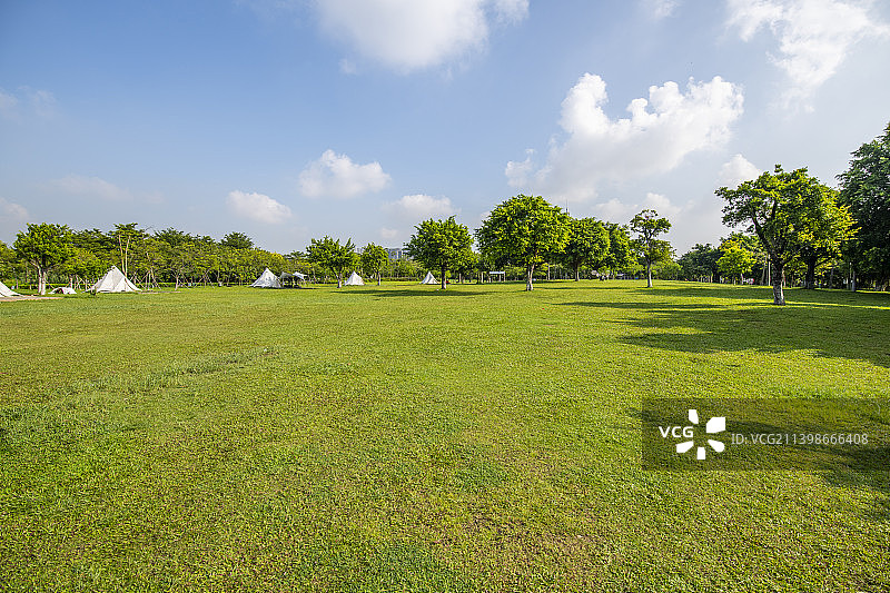 公园的露营草地图片素材