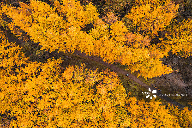 航拍秦岭汉中留坝情人谷秋色风光图片素材