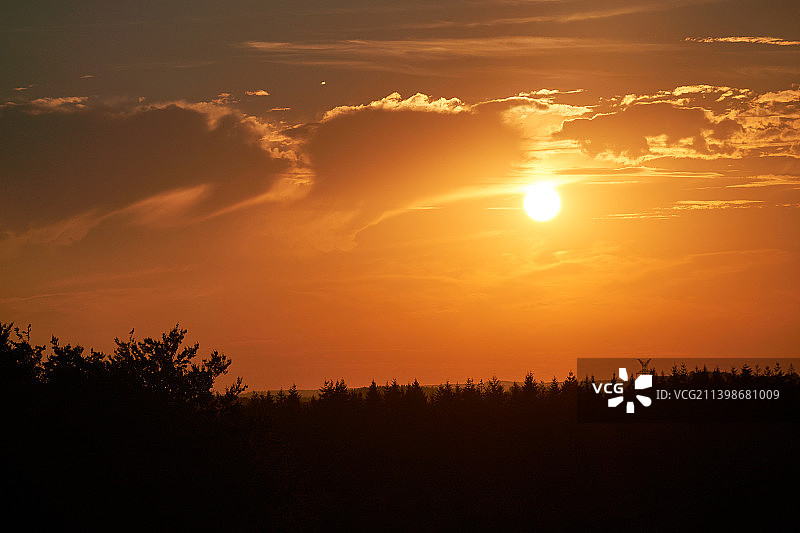比利时阿隆地区海因施日落时分的树木剪影风景图片素材