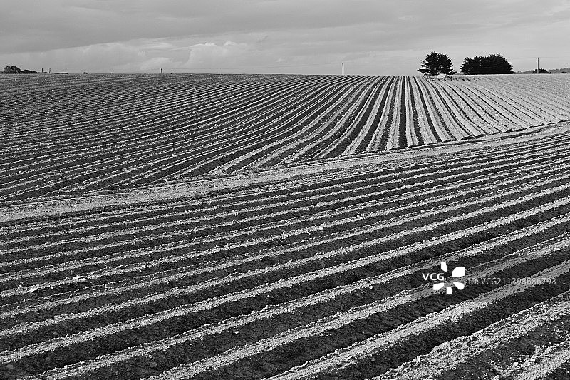 天空衬托下的农田风景图片素材