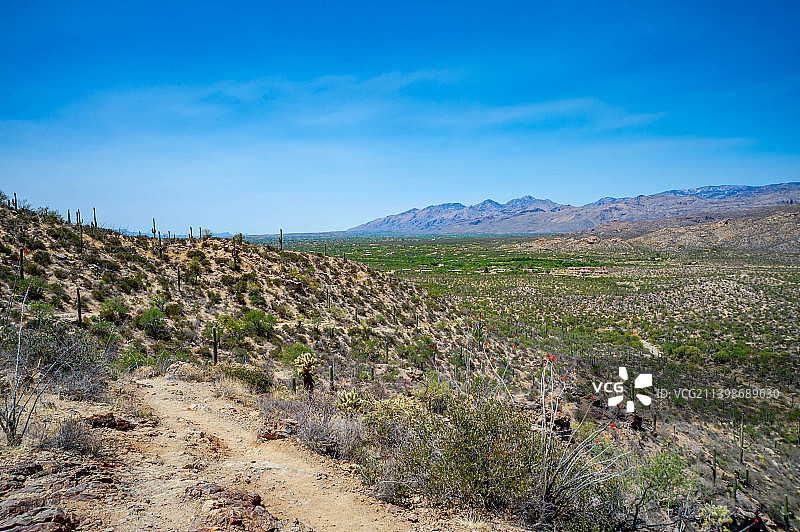 美国亚利桑那州仙人掌国家公园的蓝天景观图片素材