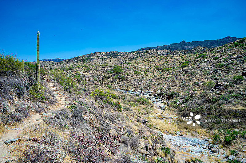 亚利桑那州仙人掌国家公园的蓝天风景图片素材