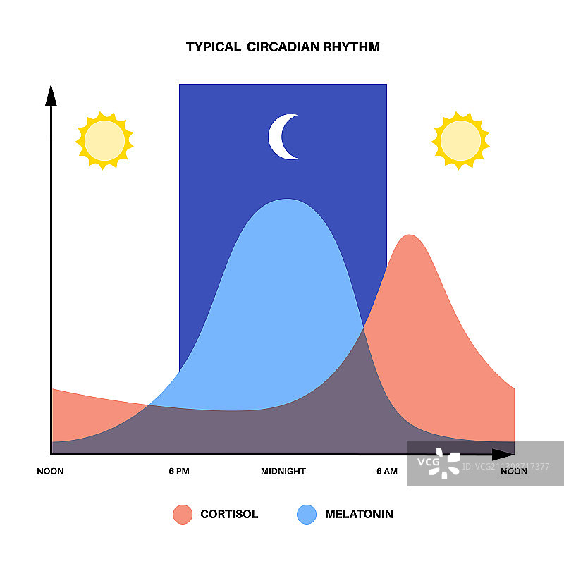 睡眠觉醒周期图片素材