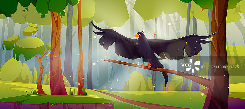 森林中栖息在树上的黑色鹰隼或鹰图片素材