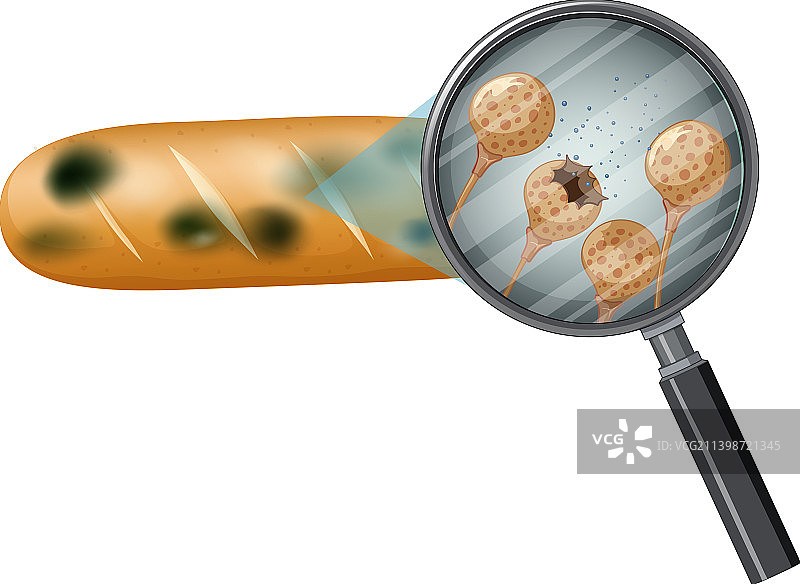 发霉的不可食用面包图片素材