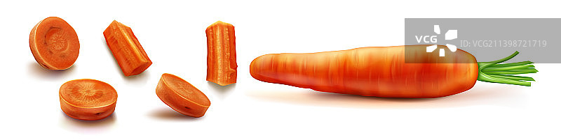 带绿叶的胡萝卜图片素材