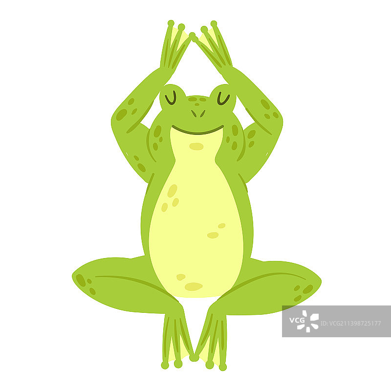 睡觉的可爱绿色青蛙图片素材