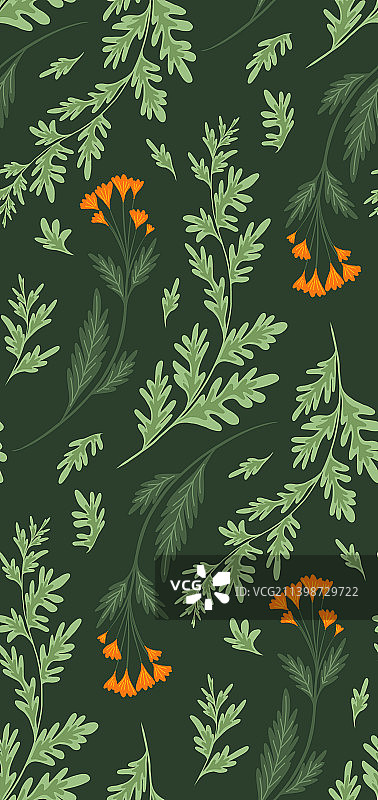鼠尾草和金盏花无缝图案图片素材