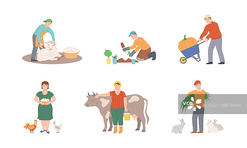 农场工作人物：农民剪羊毛图片素材