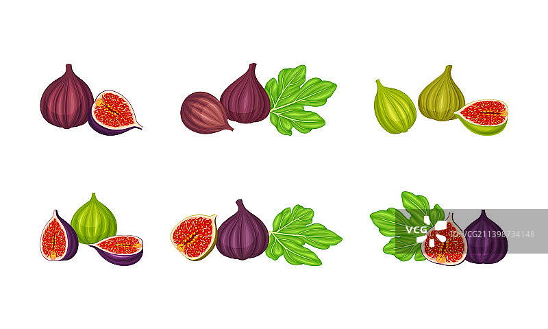 成熟的夏季热带无花果水果合集图片素材