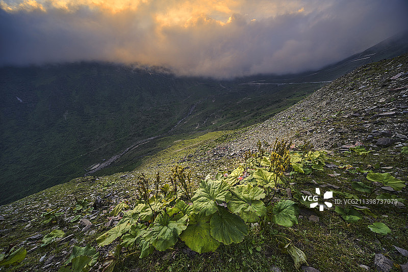 雾锁夹金山图片素材