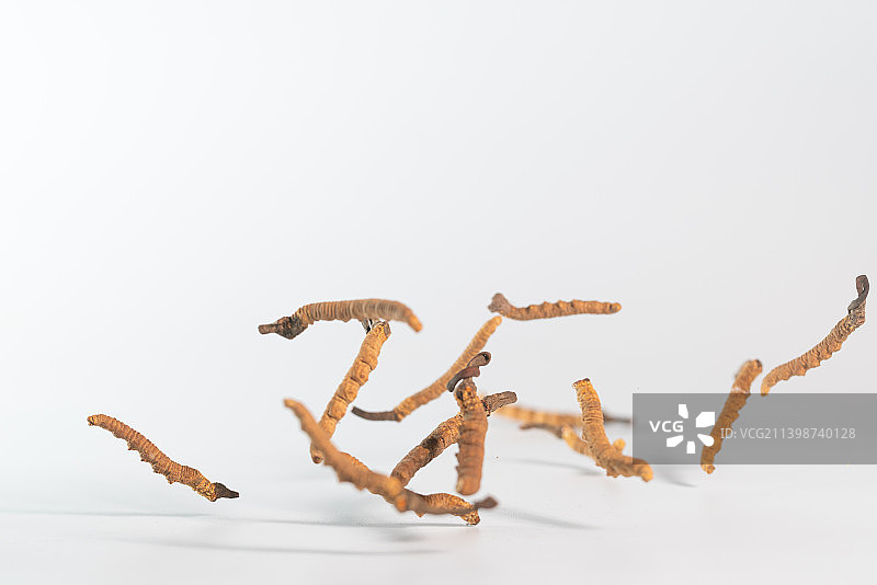 冬虫夏草在白色背景上跳起来高速棚拍广告素材图片素材