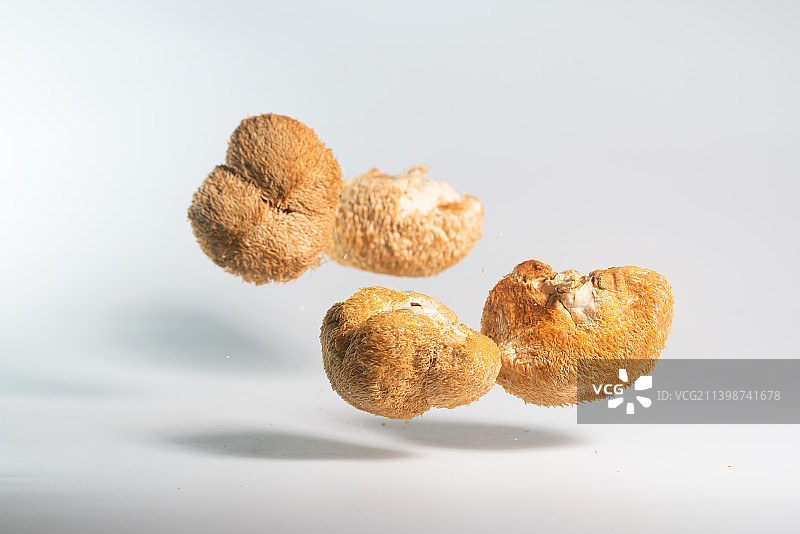 干的猴头菇在白色背景上跳起来高速棚拍广告素材图片素材