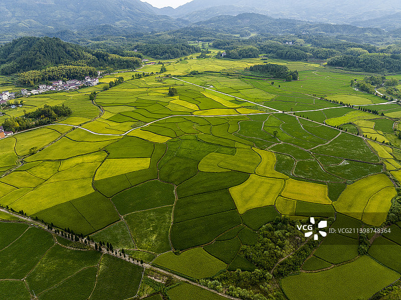 安徽省宣城市旌德县兴隆镇三山村梯田图片素材