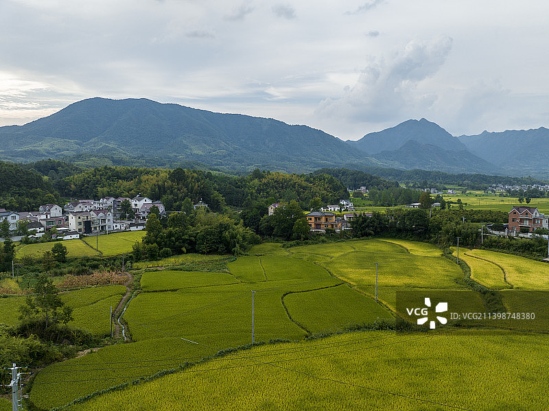 安徽省宣城市旌德县兴隆镇三山村梯田图片素材
