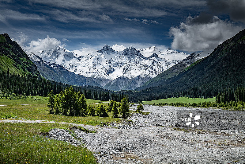 中国新疆伊犁昭苏夏塔古道景区汗腾格里峰花海与森林图片素材