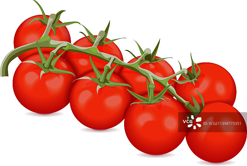樱桃番茄枝图片素材