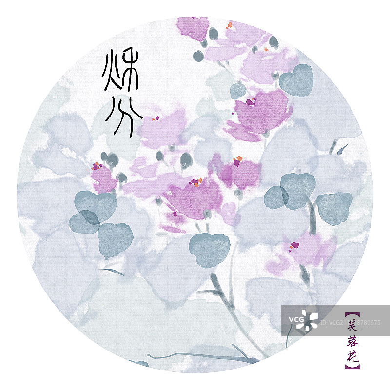 24节气花写意插画图片素材