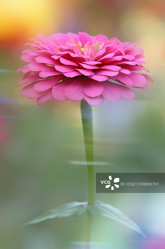 美丽自然图片素材