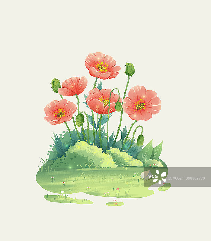 虞美人图片素材