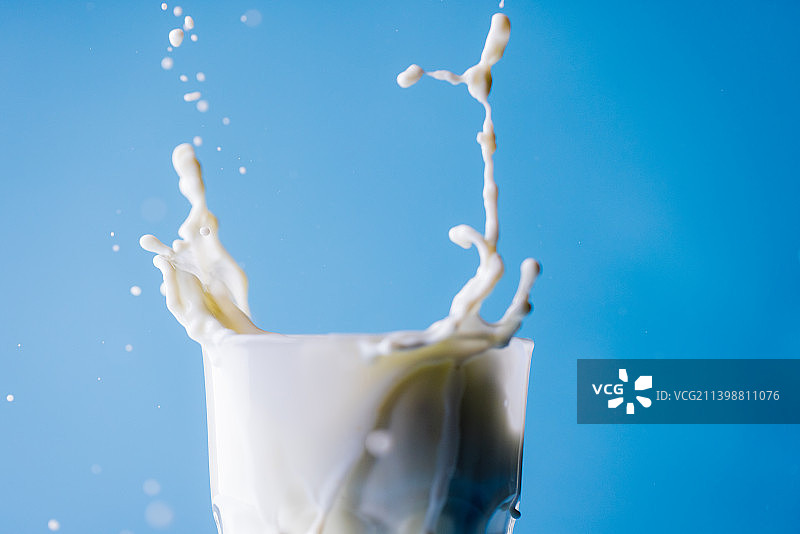 蓝色背景下玻璃杯中洒出的牛奶特写，留白图片素材