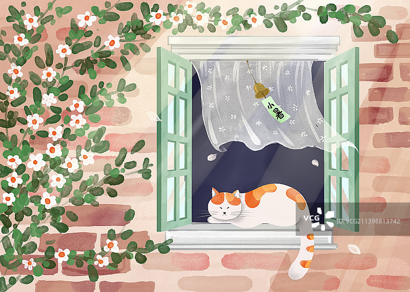 猫咪趴在窗户上图片素材