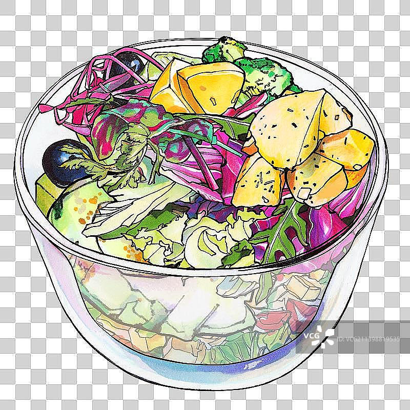 蔬菜 土豆 沙拉杯  美食手绘插画图片素材