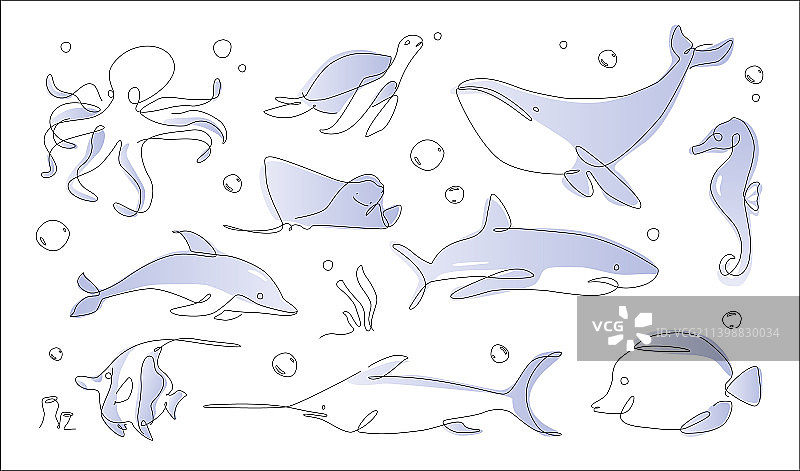 水下轮廓动物线条艺术海洋和海洋图片素材