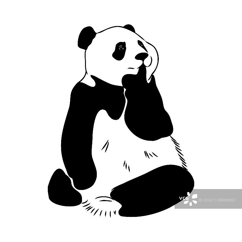 熊猫全身像的逼真素描图片素材