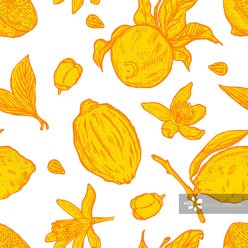柠檬复古雕刻无缝图案图片素材