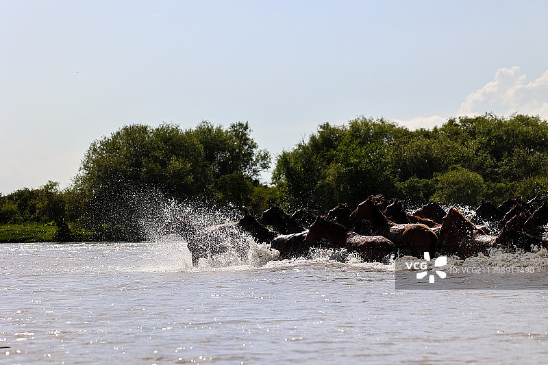 新疆伊犁昭苏湿地公园天马浴河场景图片素材