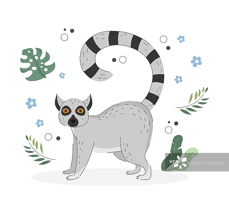 异域可爱狐猴图片素材