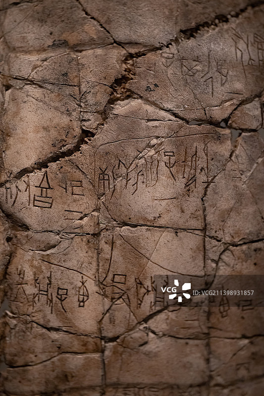 刻辞卜甲 商代晚期 河南安阳出土 中国社会科学院考古研究院藏图片素材