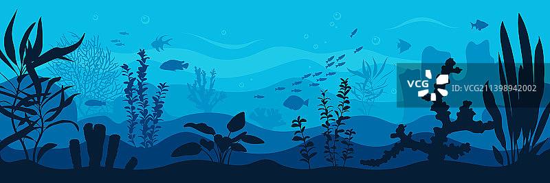 海洋世界异国情调的海景与鱼图片素材