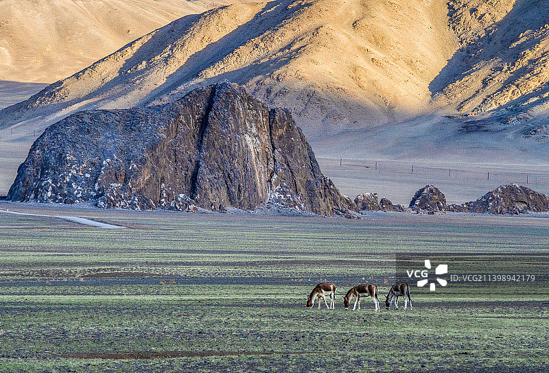 狮泉河国家湿地公园图片素材