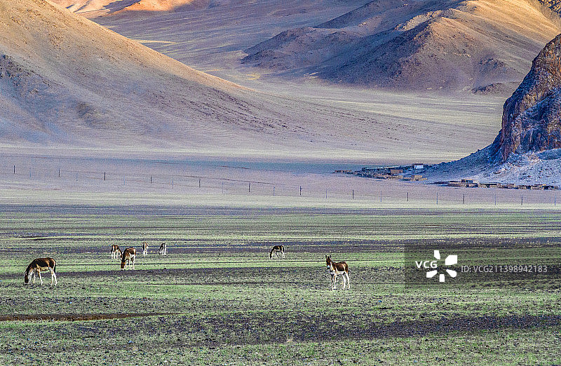 狮泉河国家湿地公园图片素材