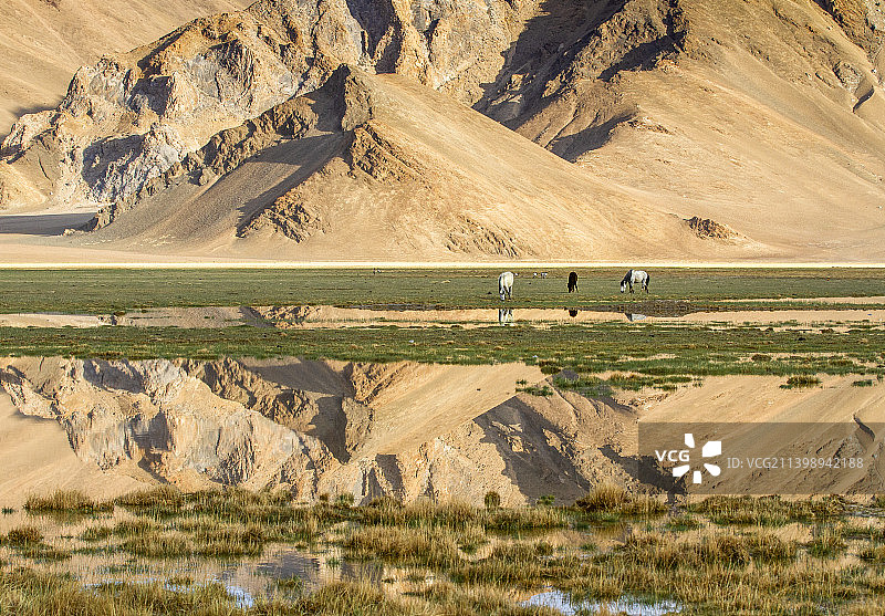 狮泉河国家湿地公园图片素材